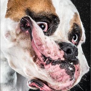 Meet your Posher, Logan